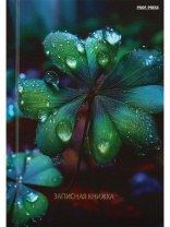 ЗАПИСНАЯ КНИЖКА. А6 80л КРАСИВАЯ ПРИРОДА - 6 (ЗК80-0078) 7БЦ, глянц.ламинир., лен|Из|ЗК80-0078