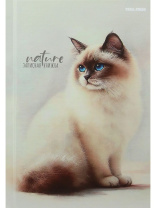 ЗАПИСНАЯ КНИЖКА. А6 80л КРАСИВЫЕ КОТЫ - 2 (ЗК80-0075) 7БЦ, глянц.ламинир., лен|Из|ЗК80-0075