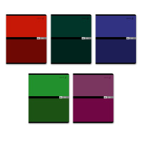 Тетрадь А5  60л кл. Светоч "Многоцветие"