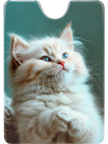 Обложка для пропуска/проездного "Котик" ПВХ