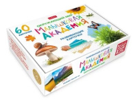 Игра обучающая "Малышковая Академия. Окружающий мир" 60 карточек