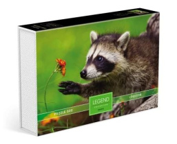 Пазлы  500 элементов  480*330мм. "LEGEND ZooStyle. Любопытный енот" + постер, в подар.уп-ке