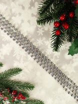 Бусы декоративные  1,8м, пластик, в индивид. упаковке, серебро