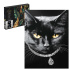 Картина по номерам на холсте с поталью 30*40см "Кошка с ожерельем"