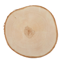 Заготовка деревянная Срез дерева , 20см, береза