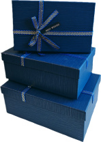 Набор подарочных коробок  3в1 с бантом, синий 19*12*6.5, 21*14*8, 23*16*9.8см