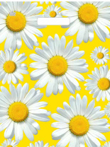 Пакет 45*34см (30мк) с вырубной укрепл. ручкой "Солнечные ромашки" ПНД
