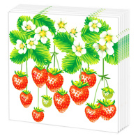 Салфетки бумажные 50л. 24*24см  Земляника, 1слой