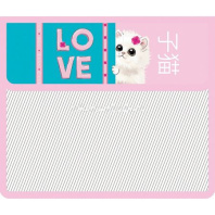 Папка д/тетрад. А5 (230*190*50) 2отд. на липучке, пластик "Fluffy"