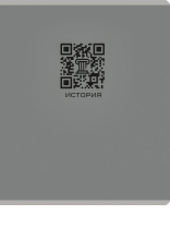 Тетрадь предметная А5 История "Qr-код" 48л, кл., мат.лам.