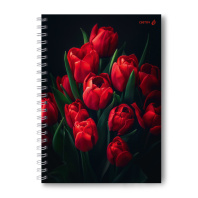 Тетрадь А4  80л кл. скоба Светоч  пласт.обл. "Тюльпаны"