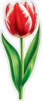 Украшение на скотче 18*18см "Тюльпан"