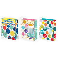 Пакет подар. бумажн. 18*23*10 см, 140гр/м Микс