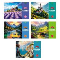 Альбом А4 24л скоба "Красота природы" пл. 100 гр/м, обл.офсет.бум., 5диз.в блоке