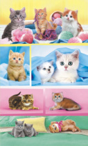 Наклейки детские 15*9см  "Кошки"