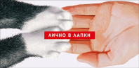 Конверт для денег "Лично в лапки"