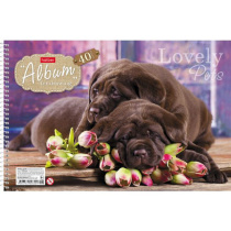 Альбом А4 40л гребень "Любимцы"  100 г/м2