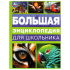 Энциклопедия "Большая энциклопедия для школьника" 197*255мм, 144стр
