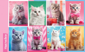 Наклейки детские 15*9см  "Кошки"