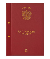 Папка д/Выпускной квалификационной работы А4, без бумаги, 2 отв., НА БОЛТАХ мет.,  бордовая