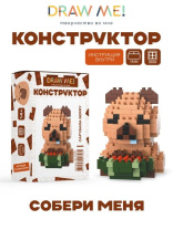 Конструктор пластм. Draw Me! "Капибара арбуз" 203 дет.