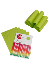 Бумага А4 цветная  50л Color Code НЕОН, зеленая
