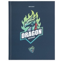 Дневник 1-11 класс 40 л., твердый, BRAUBERG, матовая ламинация, Dragon, 107178