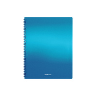 Папка файловая пластиковая на спирали ErichKrause Matt Ice Metallic, c 40 карманами, A4, ассорти (в