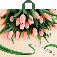 Пакет 50*60см (60мк) с петлевой ручкой "Райские тюльпаны" ПВД