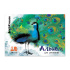Альбом для рисования на клею ErichKrause Птицы жарких стран, А4, 20 листов, 120 г/м2