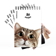 Блокнот на спирали ErichKrause Котики, А6, 80 листов, клетка_MIX-PACK