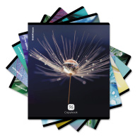 Тетрадь общая ученическая ErichKrause Макромир, 96 листов, клетка, глянцевая ламинация_MIX-PACK