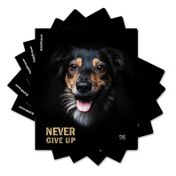 Тетрадь общая ученическая ErichKrause Собаки, 96 листов, клетка, матовая ламинация_MIX-PACK