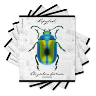 Тетрадь общая ученическая ErichKrause Жуки, 48 листов, клетка, мат. лам.+выборочный УФ-лак+тиснение фольгой+конгрев, доп.лист_MIX-PACK