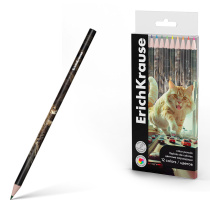 Цветные карандаши деревянные ErichKrause Big City Cats круглые, грифель 3 мм, 12 цветов (в ПЭТ-боксе с европодвесом 12 шт)