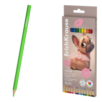Цветные карандаши пластиковые ErichKrause Frenchie шестигранные 12 цветов (в коробке с европодвесом 12 шт)