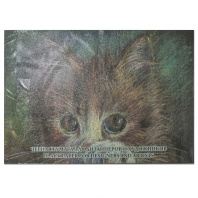 Бумага тонированная  А2 10л. 200 г/м2 "Black" черная*