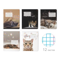 Тетрадь А5 12л кл. Альт "Удивительные котята"