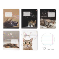Тетрадь А5 12л лин. Альт "Удивительные котята"