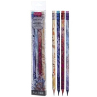 Набор карандашей ч/гр  4шт. "Darwin" НВ с ластиком