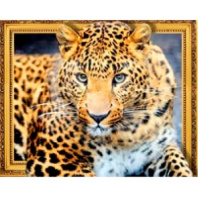 Алмазная мозаика: 50*40 см, сложность 4*; 5D эффект объёмного рисунка; присутствует имитация рамы; состав: акриловые круглые стразы, стилус, лоток, желеобразный клей, металл. крепеж для подвешивания, пинцет.|Ха|МС-5403