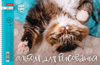 Альбом А4 24л гребень "Кот Борис", перфорация на отрыв  100 г/м2*