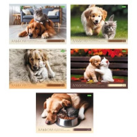 Альбом А4 24л скоба "Хвостатые истории"  пл. 100 гр/м, 5диз.в блоке