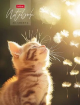 Блокнот А5 7БЦ  80л "Солнечный котик" кл., 5цв.блок, глянц. лам.