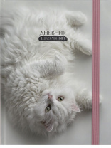 Дневник школьный 40л. НЕЖНЫЙ КОТИК - 2 (Д40-9436) универс., резинка,выб.лак,мат.лам.,7БЦ|Из|Д40-9436