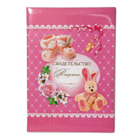 Папка Адресная А4 "Свидетельство о рождении. Зайка" для девочки НОВЫЙ РАЗМЕР Папка Адресная А4 "Свидетельство о рождении. Зайка" для девочки НОВЫЙ РАЗМЕР