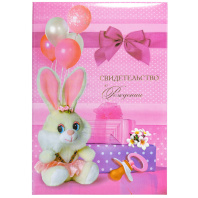 Папка Адресная А4 "Свидетельство о рождении. Подарки" НОВЫЙ РАЗМЕР Папка Адресная А4 "Свидетельство о рождении. Подарки" НОВЫЙ РАЗМЕР