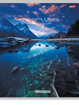 Тетрадь предметная А5 Информатика "Гармония" 36л, кл., обл.мел.бум., белизна 100%