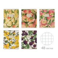 Тетрадь А5 48л кл. BV "Flora. Fruits" мат.лам., фольга
