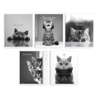 Тетрадь А5 48л кл. Феникс+ "Монохромные коты" выб.твин-лак